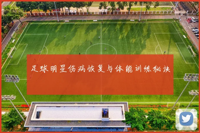 足球明星伤病恢复与体能训练秘诀